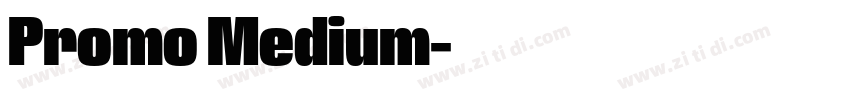 Promo Medium字体转换